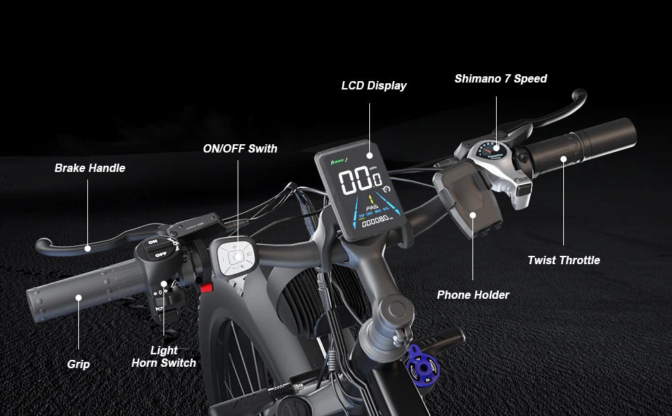 Beach Electric Bicycle