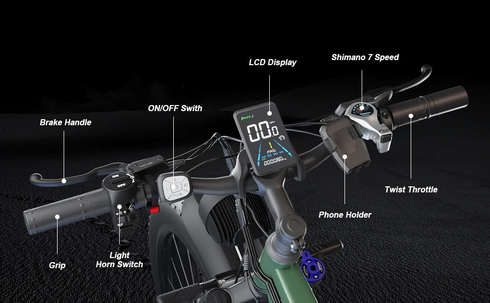 Beach Electric Bicycle